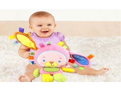 孩子面對 毛絨玩具 會有什么反應？